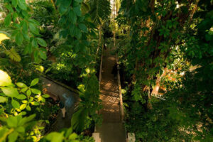 Us Botanic Garden
