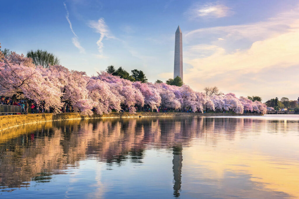 Washington Dc Parks 1