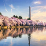 Washington Dc Parks 1