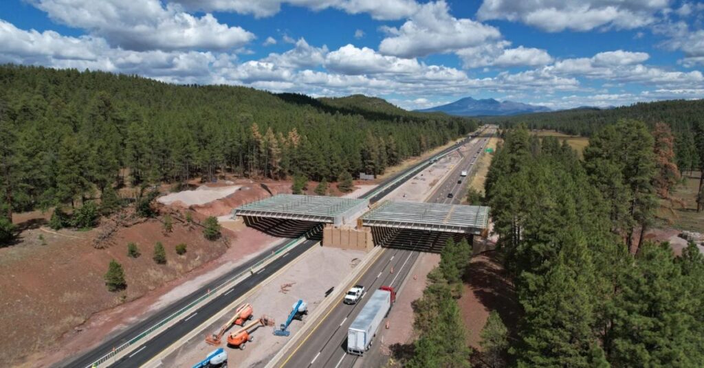 Arizona Wildlife Overpass Crossing