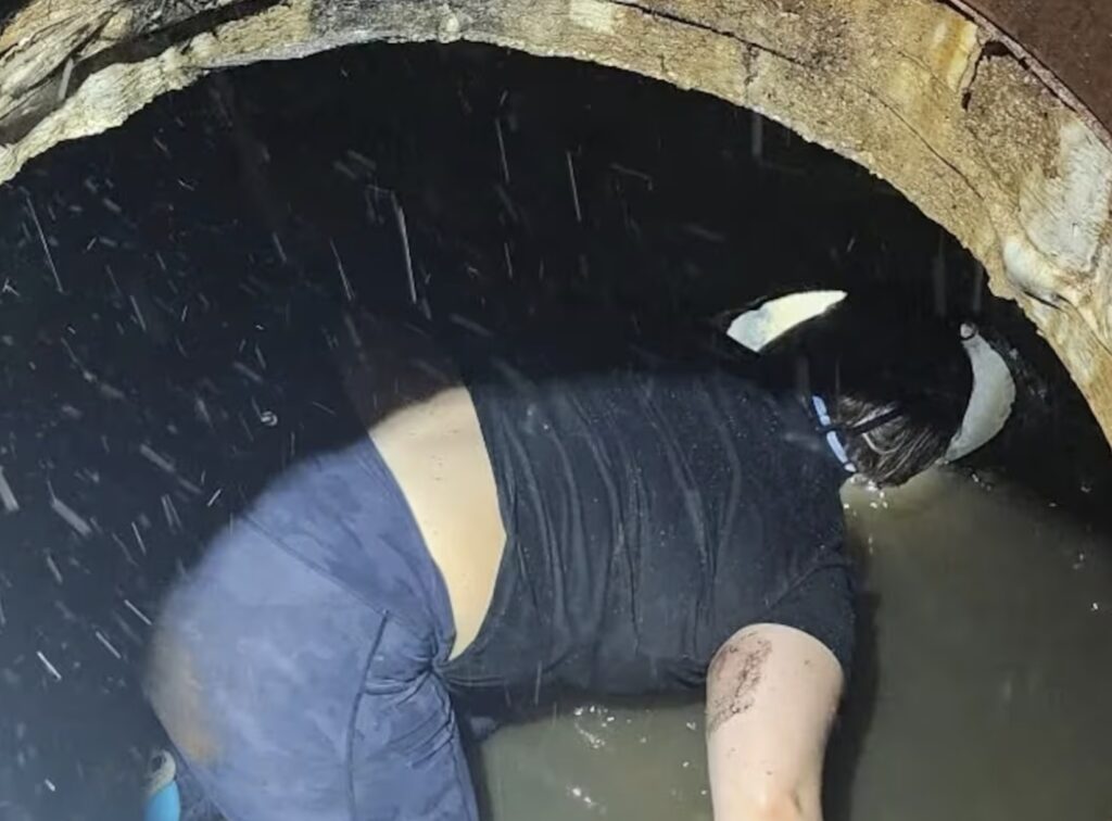 A Good Samaritan ventures into a storm drain to rescue a kitten in Jeffersontown, Ky.
