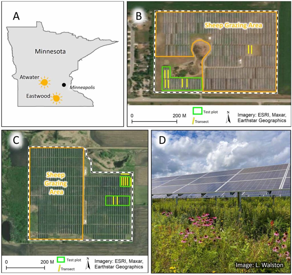 Minnesota Solar Panel Study Walston