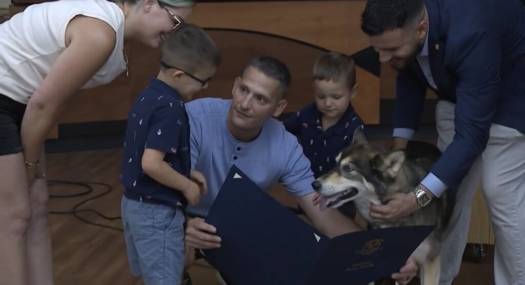 A husky is honored for saving a boy from a wild bear running across the driveway of a Connecticut home.