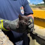 Muhlenberg Fire and Rescue workers and local government public works employees saved a kitten from a stormwater sewer this week.